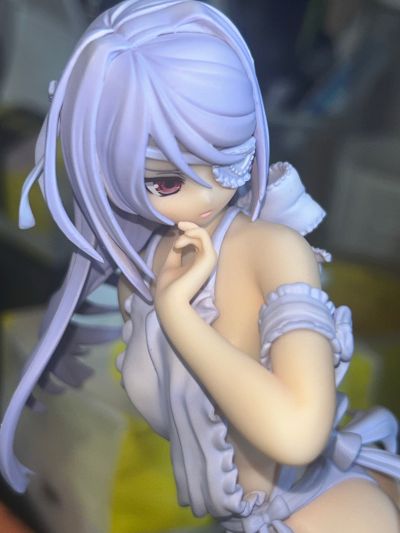 IS〈无限斯特拉托斯〉 拉芙拉·布迪威伊 原作・梦中裸体围裙