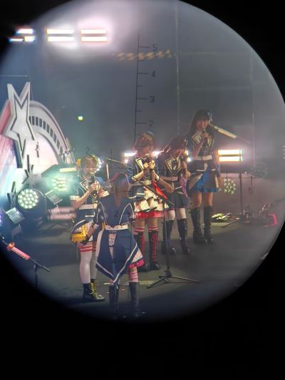 BanG Dream! 少女乐团派对 毛绒玩偶 Poppin'Party 户山香澄/花园多惠/牛込里美/山吹沙绫/市谷有咲