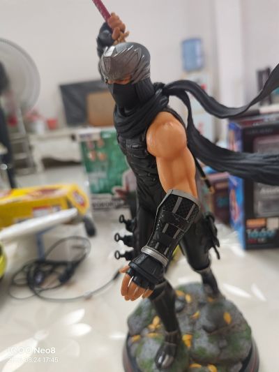 忍者龙剑传系列 龙隼