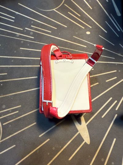 路易莎·里希特