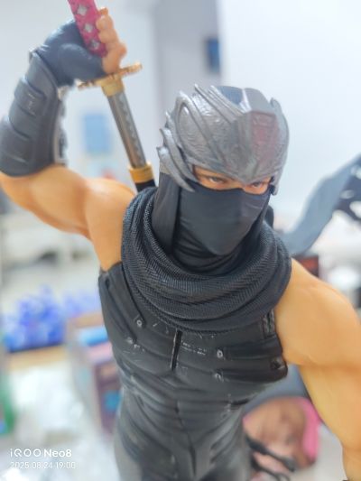 忍者龙剑传系列 龙隼