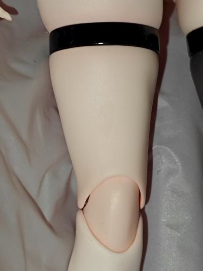 兔子快速反应小队 盾牌手 • 爱莲娜