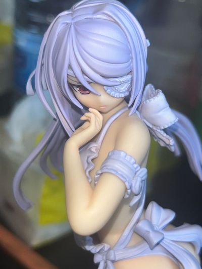 IS〈无限斯特拉托斯〉 拉芙拉·布迪威伊 原作・梦中裸体围裙