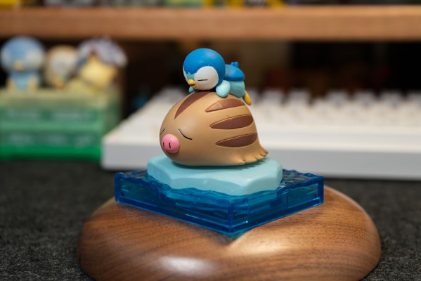 精灵宝可梦 冰雪波加曼系列