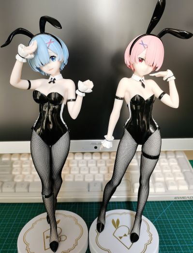 BiCute Bunnies Re：从零开始的异世界生活 雷姆·bicolor