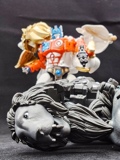 变形金刚40周年纪念款 白狮擎天柱