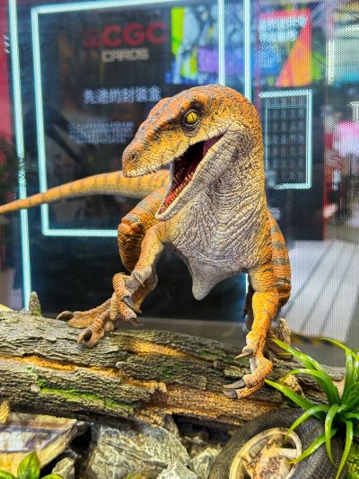 侏罗纪公园III 翼龙