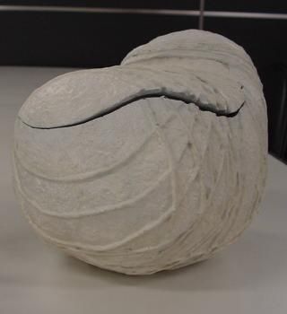 大怪兽系列 奥特Q编 卡内贡的茧 彩色版