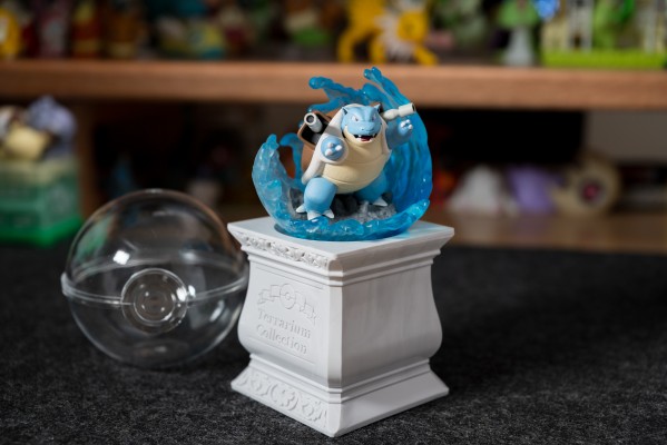 宝可梦 生态球15