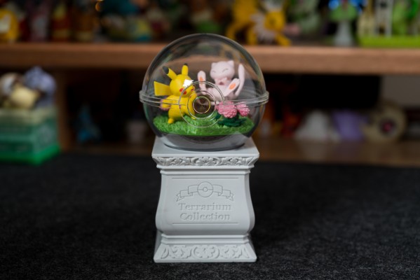 宝可梦 生态球15