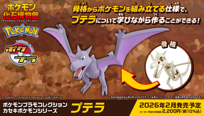 宝可梦拼装模型收藏 化石宝可梦系列 化石翼龙