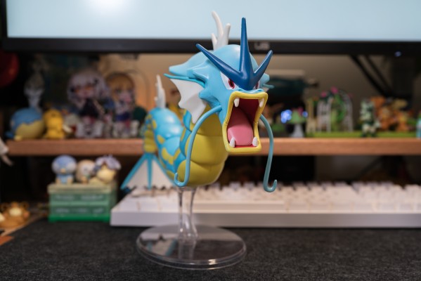 宝可梦 12英寸 史诗战斗第2弹 暴鲤龙