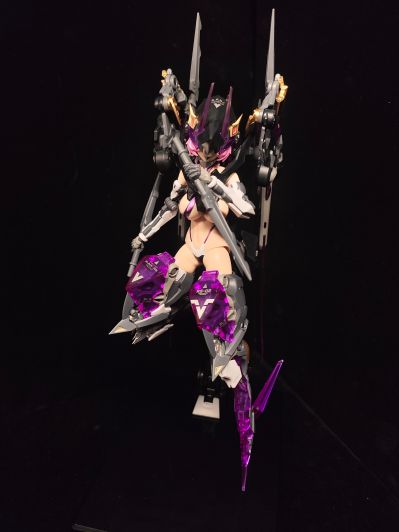 萝莎计划 星花·黑鸢尾