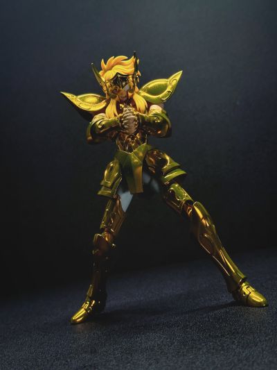 圣斗士圣衣神话EX 宝瓶座冰河-黄金圣衣的继承者-