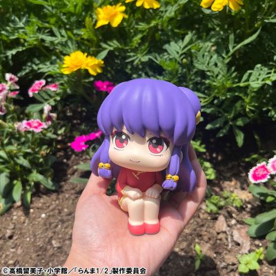 Look Up 乱马1/2 珊璞