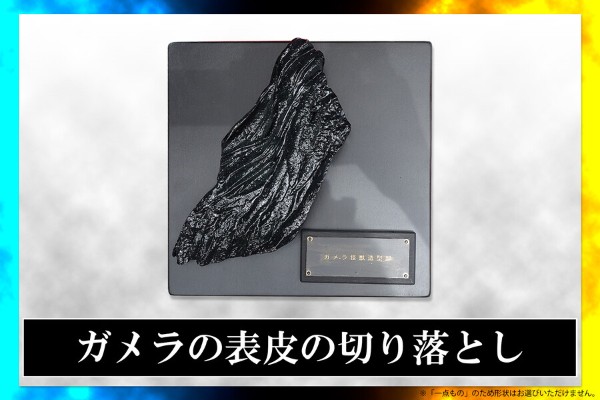 加美拉的表皮切片