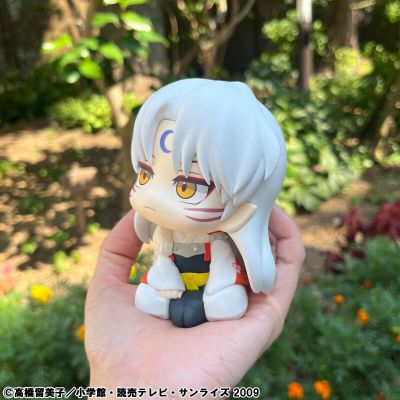 Look up 犬夜叉 杀生丸