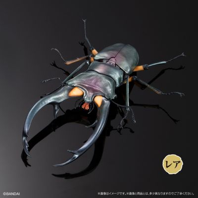 生物大图鉴 进阶版 锹甲02 树皮底座（中号）套装