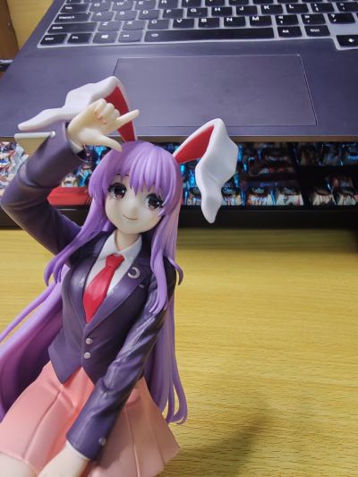 压泡面 东方Project 铃仙·优昙华院·因幡