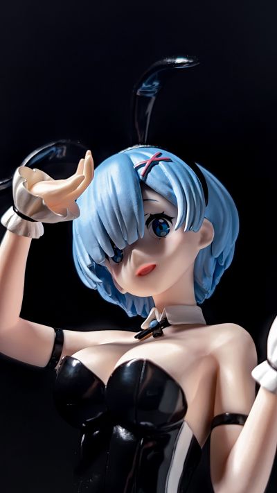 BiCute Bunnies Re：从零开始的异世界生活 雷姆·bicolor