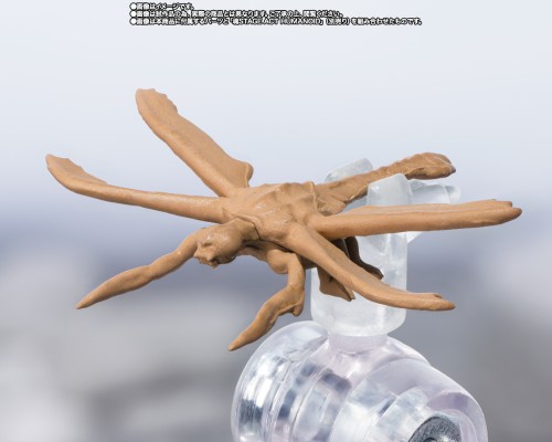 S.H.MonsterArts 超翔龙美加奇拉斯 进化套装