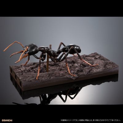 生物大图鉴进阶版 斗牛犬蚁 树皮底座（中号）套装