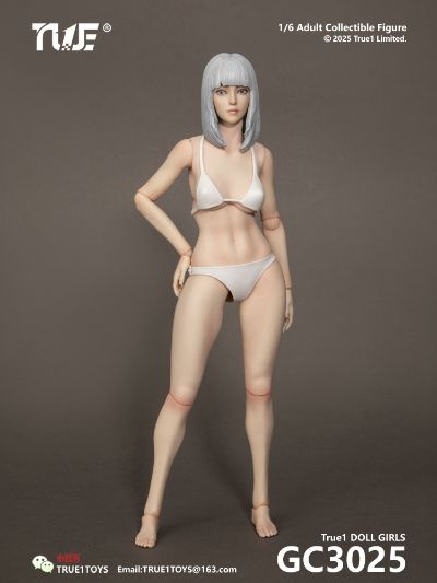 关节可动女人偶基础套装