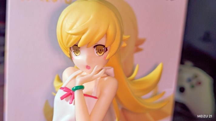 西尾维新 动画《物语》系列 ESPRESTO-Sweet Bloom-忍野忍