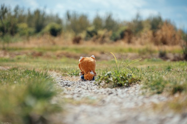 狼与香辛料 MERCHANT MEETS THE WISE WOLF 赫萝满满RICH小扭蛋