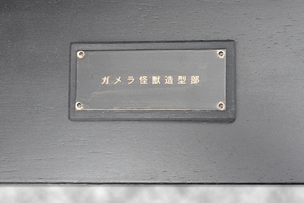 加美拉的表皮切片