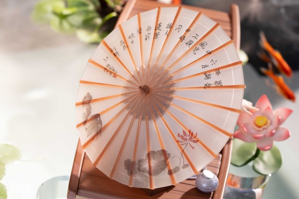 安卡希雅-东流映荷