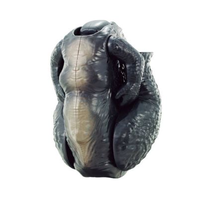 哥斯拉蛋 哥斯拉2014