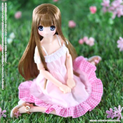 POD012-SCB Sarah's a la Mode 莎拉/甜蜜时光穿搭套装~棕色头发~(娃娃展·AZONE网上商店限定)