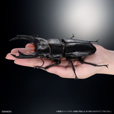 生物大图鉴 进阶版 锹甲02 树皮底座（中号）套装