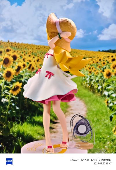 伪物语  奖品人偶 忍野忍