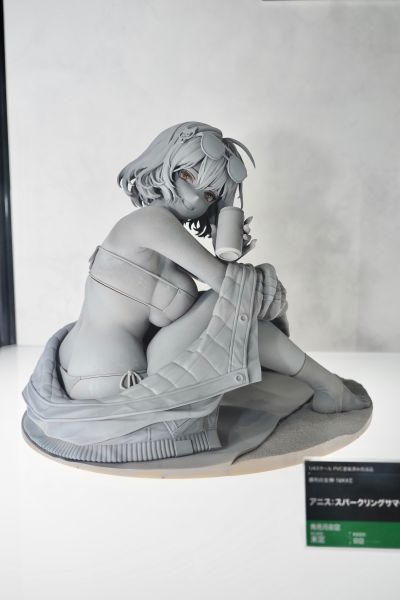 胜利女神：新的希望 阿妮斯：闪耀夏日