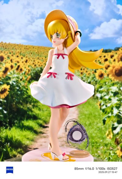 伪物语  奖品人偶 忍野忍