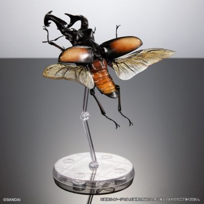 生物大图鉴 进阶版 锹甲02 树皮底座（中号）套装