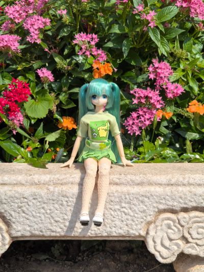 EX☆CUTE Familyー ～mermaid a・la・mode～ 金鱼公主 / 若叶 Azone品牌店乐天市场店限定