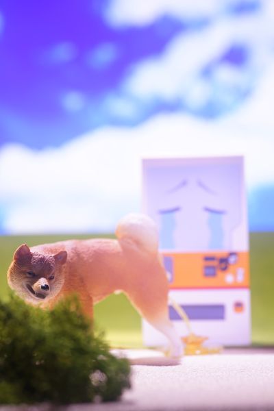 粘土人#2221 转生成自动贩卖机的我今天也在迷宫徘徊 阿箱