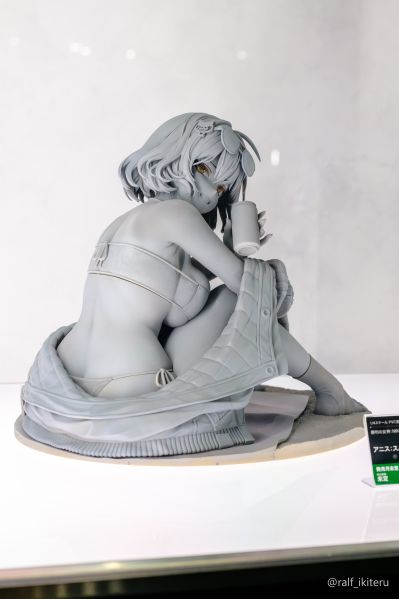 胜利女神：新的希望 阿妮斯：闪耀夏日