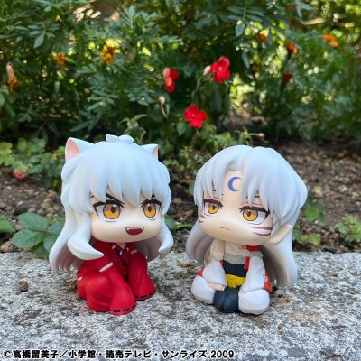 Look up 犬夜叉 杀生丸