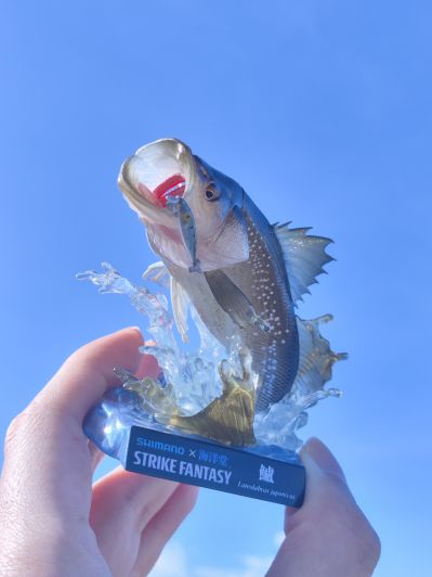 STRIKE FANTASY 禧玛诺 鲈鱼