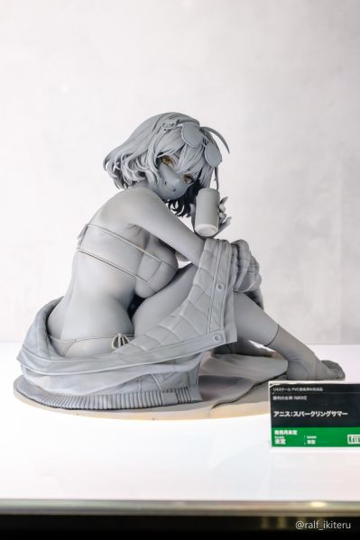 胜利女神：新的希望 阿妮斯：闪耀夏日