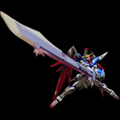 METAL ROBOT魂 ＜机动战士系列＞ 命运高达 [Re:Coordinate]