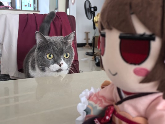 雀魂麻将 毛绒玩偶系列 一姫 毛绒绒一姫