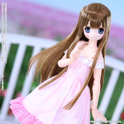 POD012-SCB Sarah's a la Mode 莎拉/甜蜜时光穿搭套装~棕色头发~(娃娃展·AZONE网上商店限定)