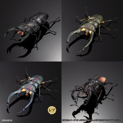 生物大图鉴 进阶版 锹甲02 树皮底座（中号）套装