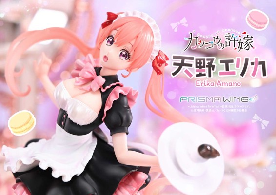 杜鹃的婚约 天野绘里香