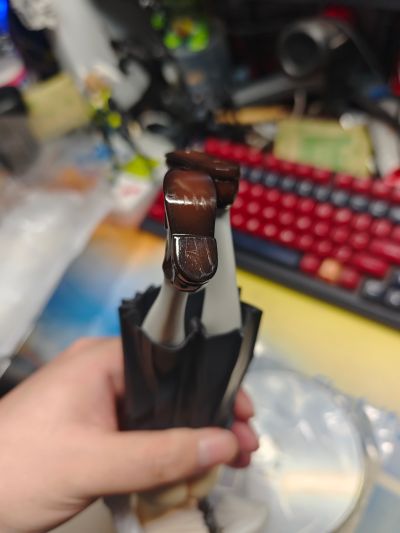 委员长的秘密